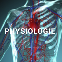 physiologie